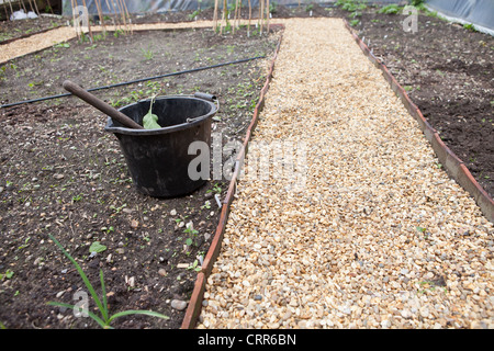 Bereiten den Boden für den Anbau von Gemüse in einen Bauerngarten - entfernen das Unkraut bereit, die Samen zu Pflanzen Stockfoto