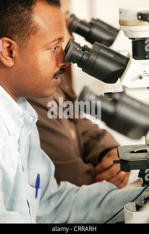 Ein Pathologe sieht durch sein Mikroskop auf zytologische Proben. Stockfoto
