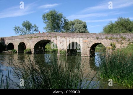 Mittelalterliche Brücke Fluss Avon Bilovec Worcestershire England UK Stockfoto