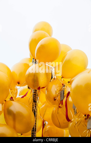 Ein gold Ballon Baum Teil der Feierlichkeiten als die Olympische Fackel-Relais verläuft durch den Lake District, UK. Stockfoto