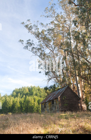 Alte verlassene Hütte im sonnigen Feld Stockfoto