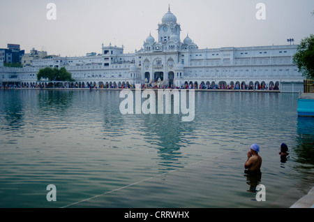 Männer-Bad in den zentralen Pool auf den goldenen Tempel, der heiligste Ort der Sikhs, in Amritsar, Indien. Stockfoto