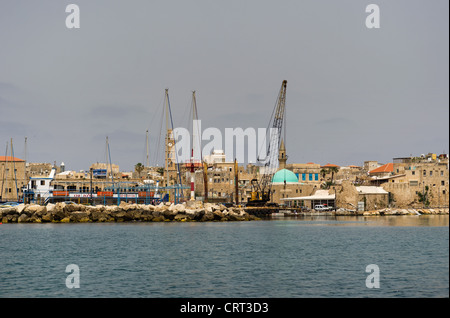 Blick auf den alten Mauern, Häuser und Moschee in der alten Stadt Akko, Israel Stockfoto