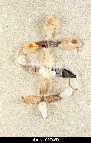 Dollarzeichen gemacht Gruppe "Muscheln" auf dem sand Stockfoto