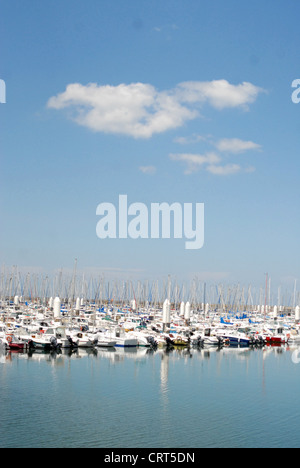 Freude Bootfahren Hafen mit Segelbooten und Yachten auf der Seine-Mündung bei Le Havre in der Normandie, im Sommer Stockfoto