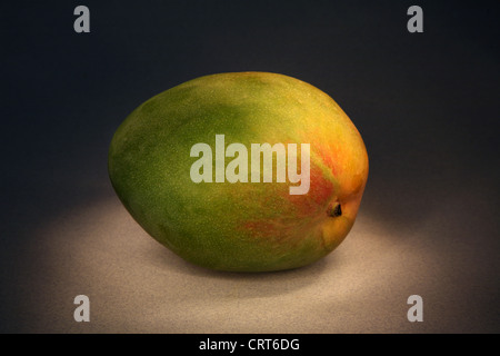 Mango. Stockfoto