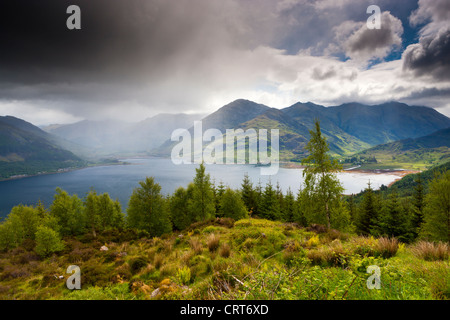 Berge und Loch Duich aus Bealach Ratagain Sicht, Ratagain Pass, Highlands, Schottland, UK, Europa Stockfoto