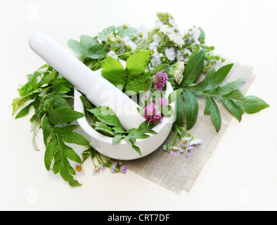 Blumen mit gesunden Kräutern und Mörtelzusammensetzung Stockfoto