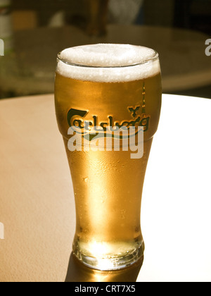 Bier - ein glitzerndes Pint Carlsberg Lager Bier Stockfoto