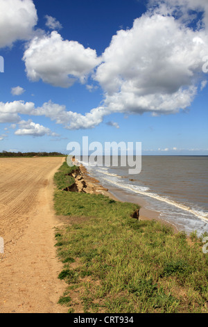 Küstenerosion bei Covehithe Suffolk England UK Stockfoto