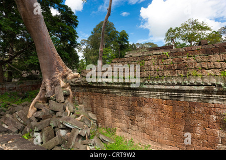Preah Khan (Heiliges Schwert). Angkor. UNESCO-Weltkulturerbe. Kambodscha. Indochina. Südost-Asien. Asien. Stockfoto