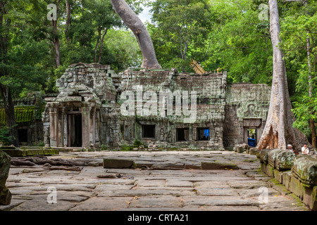 Bei archäologischen Ruinen Website, Ta Prohm Tempel, Angkor, UNESCO World Heritage Site, Kambodscha, Indochina, Südostasien, Asien Stockfoto