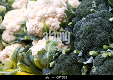 Blumenkohl und Brokkoli an Atwater Market in Montreal, Quebec Stockfoto