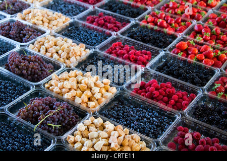 Sortiment an Beeren für den Verkauf an Jean Talon Market, Montreal, Quebec Stockfoto