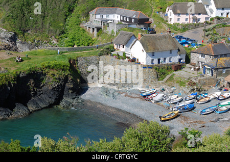 Das Dorf Cadgwith auf der Lizard Halbinsel in Cornwall, England, UK Stockfoto