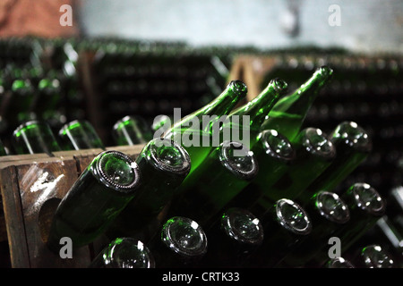 Champagner-Keller, Fabrik in einer Tiefe von 80 Metern, Artemovsk, Donezk, Ukraine Stockfoto