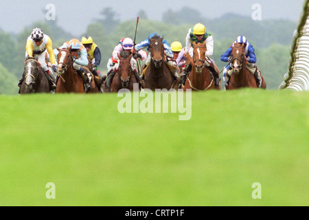 Die Pferde in Aktion am Royal Ascot racecourse Stockfoto