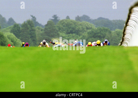 Die Pferde in Aktion am Royal Ascot racecourse Stockfoto