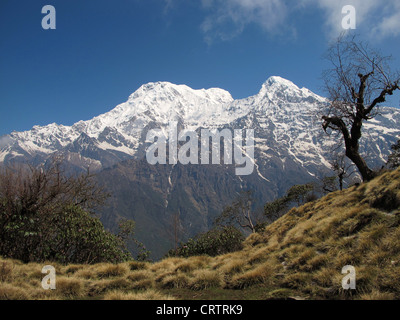 Annapurna South und Hiun Chuli Stockfoto