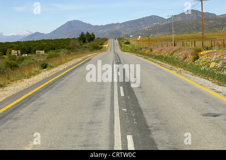 Schnurgeraden Asphaltstraße N7 in der Nähe von Citrusdal Stockfoto