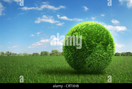 Blatt bedeckt die Erde auf der grünen Wiese Gras Stockfoto