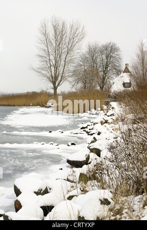 Winterlandschaft an der Schlei in der Nähe von Sieseby Stockfoto