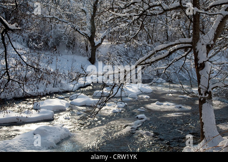 Winter-Szene mit Fluss Bäume, Schnee und Eis Stockfoto