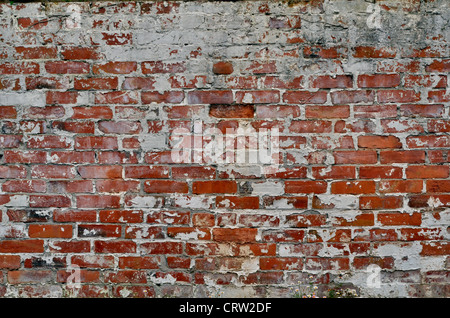 Alte Ziegelwände/Mauerwerk, die Alterserscheinungen/Verfall mit Farbabfällen zeigen. Allegorie für „Firewall“ oder „Dateizugriff verweigert“ und abstrakte Ziegelstruktur. Stockfoto