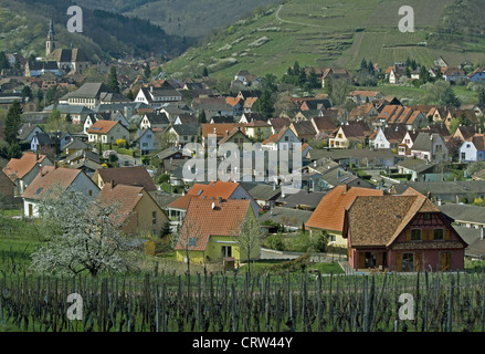 Andlau, Elsaß, Frankreich Stockfoto