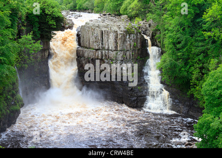 Hohe Kraft Wasserfall nach starken Regenfällen, River Tees in der Nähe von Middleton in Teesdale, County Durham, England, UK. Stockfoto