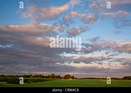 Greenfield, mid-1700 georgianischen Herrenhaus, Cecil County, Maryland Stockfoto