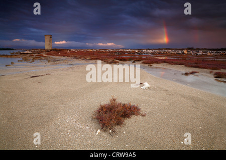 Dramatischer Himmel am Meer mit Regenbogen in den Himmel Stockfoto