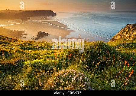 Drei Klippen Bucht von Penmaen Burrows, Gower, Wales Stockfoto