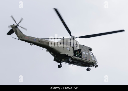 Royal Air Force Puma im Flug Stockfoto