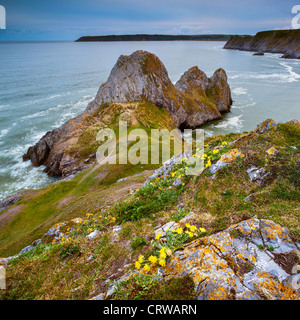 Drei Klippen Bucht, Gower, Wales Stockfoto