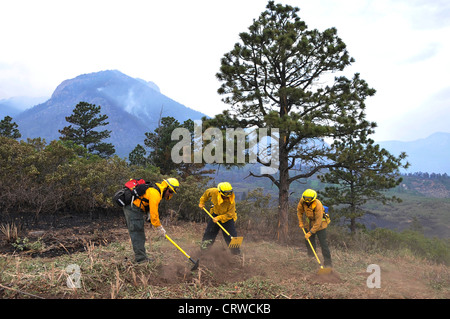 Technische Sgt. Jason Linta, Bobby Garza und Dean Prestia schneiden Linien, um einen Feuerbruch zu erzeugen, um zu verhindern, dass Feuer springen Juni 28, Air Force Academy, College.Sergeant ist ein Feuerwehrmann der AFA zugewiesen und Garza und Prestia sind Feuerwehrleute der Buckley Air Force Base zugewiesen, Colo. Der Brand des Waldo Canyon hat über 18,000 Hektar Land in der Gegend von Colorado Springs zerstört Stockfoto