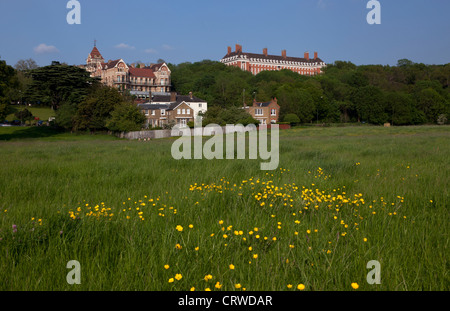 Eine Wiese von Gräsern und Butterblumen und Monumentalbauten im Richmond District in London in England. Stockfoto