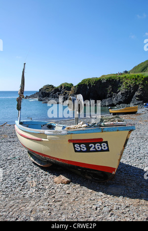 Ein kleines Fischerboot auf dem Kiesstrand am Cadgwith in Cornwall, Großbritannien Stockfoto