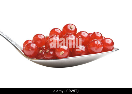 rote Beeren Johannisbeeren im Löffel Stockfoto