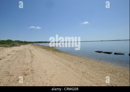 Montauk Hafen / Marina, Long Island, New York. Stockfoto