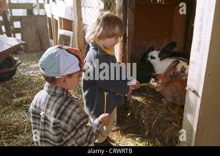 Ein Kind bei der Fütterung von Kaninchen Stockfoto