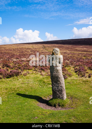 Bennetts Cross bei Headland Warren im Dartmoor National Park, Devon, England. Stockfoto