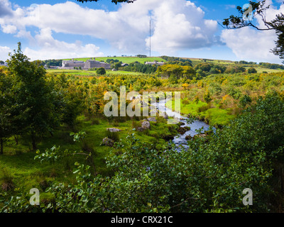 Blackbrook River in der Nähe von Princetown im Nationalpark Dartmoor, Devon, England. In der Ferne ist Dartmoor prison und North Hessary Tor. Stockfoto