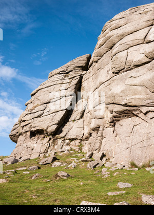 Haytor Rocks im Dartmoor National Park, Devon, England. Stockfoto