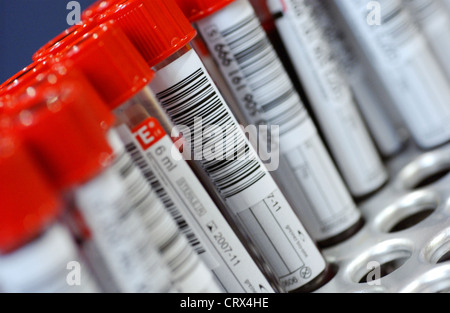 Proben von Blutspenden in Vacutainer Reagenzgläser mit roten Spitzen. Stockfoto