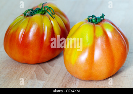 Zwei italienische Cuore di Bue Tomaten. Stockfoto