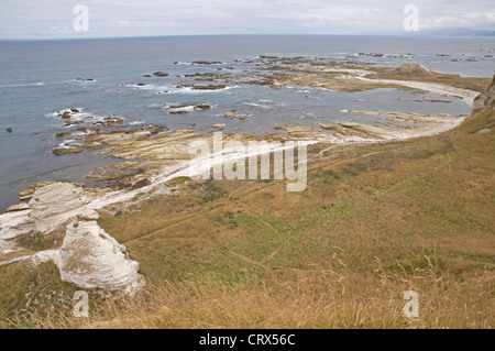 Pazifische Küste von Kaikoura Halbinsel auf der Südinsel Neuseelands Stockfoto