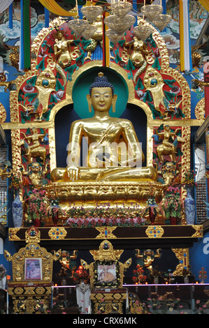 Gautam Buddha goldene statue Stockfoto