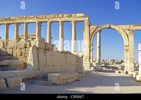 Antike römische Ruinen in der archäologischen Stätte von Palmyra in der syrischen Wüste. Stockfoto