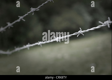 Nahaufnahme von einem Stacheldrahtzaun Stockfoto
